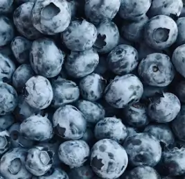 블루베리 효능