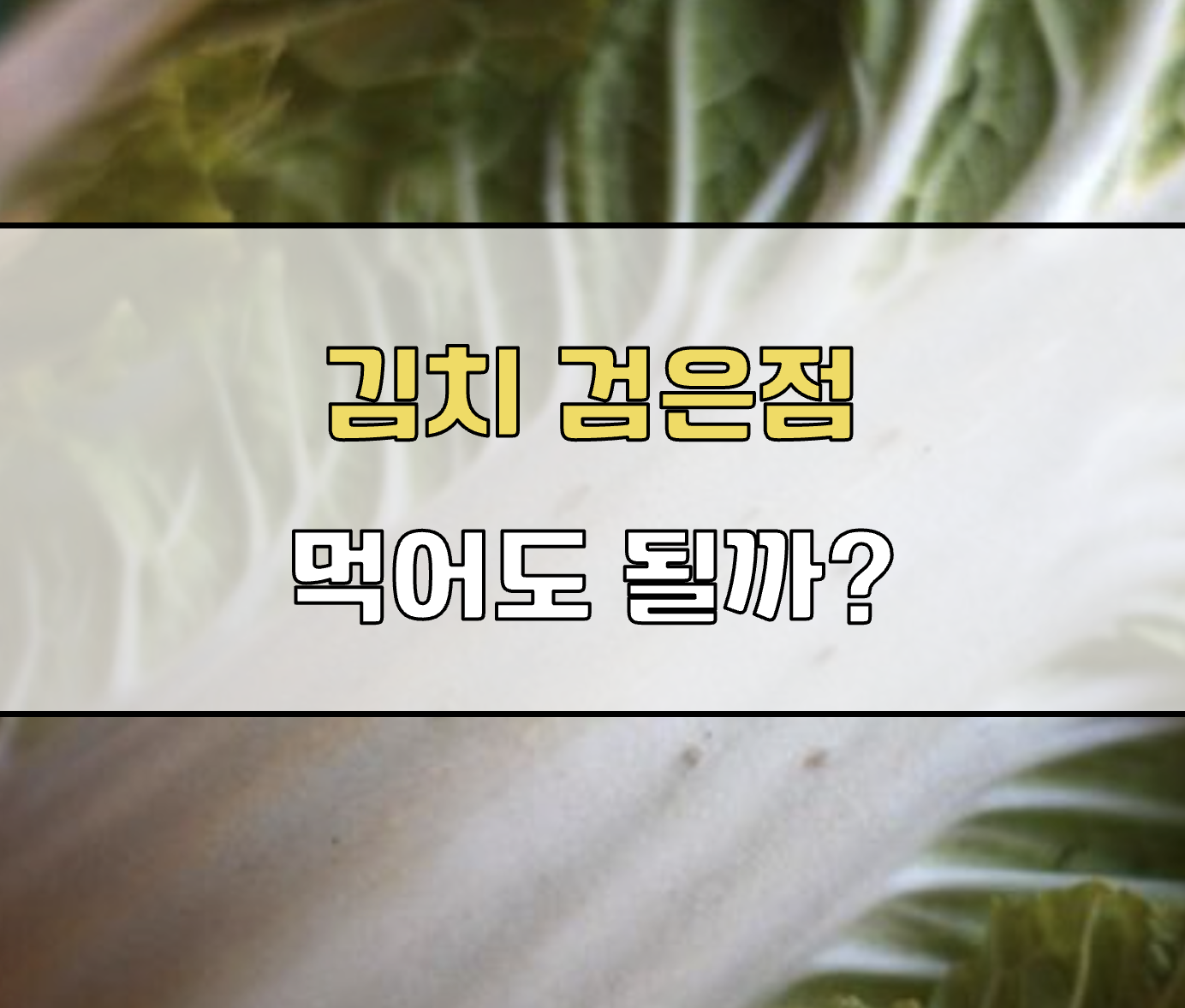 배추 까만점