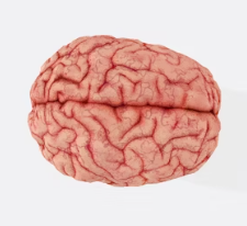 수면 부족이 우리 몸에 미치는 영향 경고 증상 치매