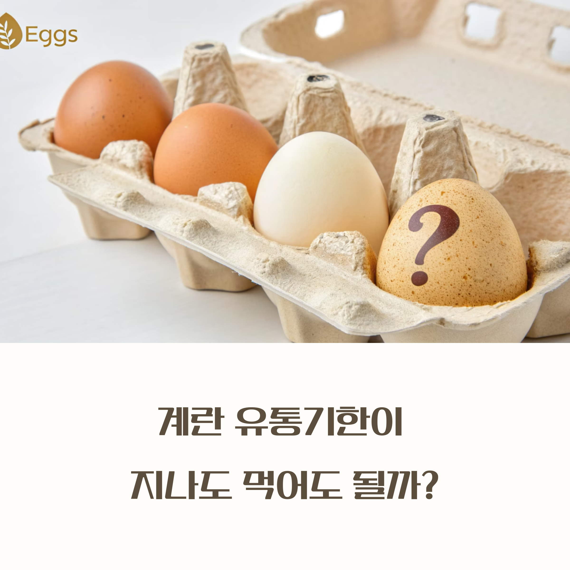 계란 유통기한이 지나도 먹어도 될까?