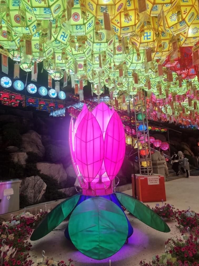 삼광사 연꽃등 사진 