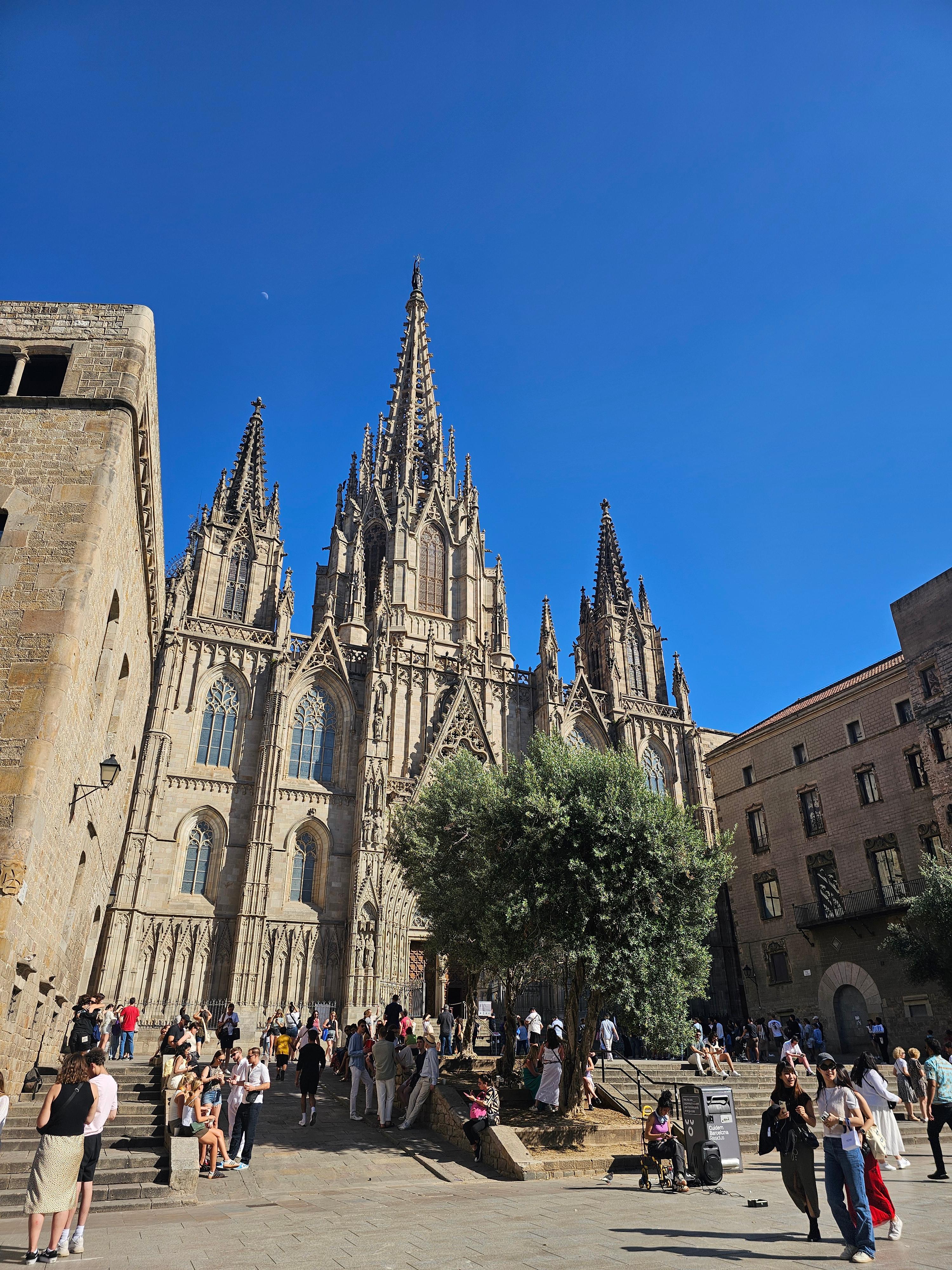 바르셀로나의 대성당