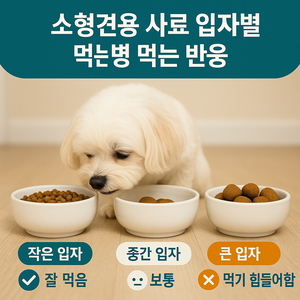 소형견 사료 크기별 반응 비교