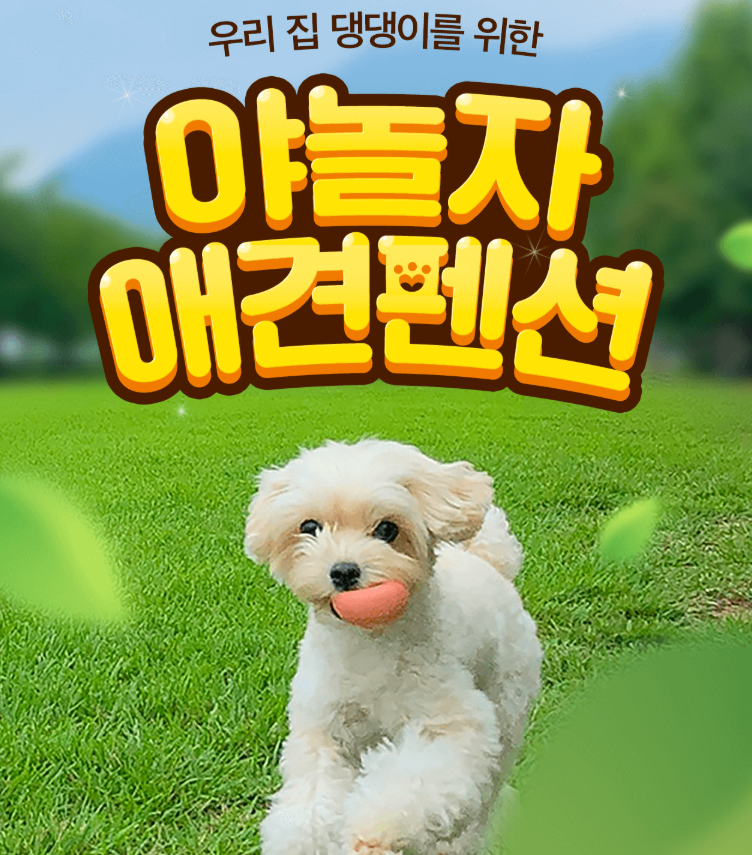 애견 동반 숙소 추천 총정리