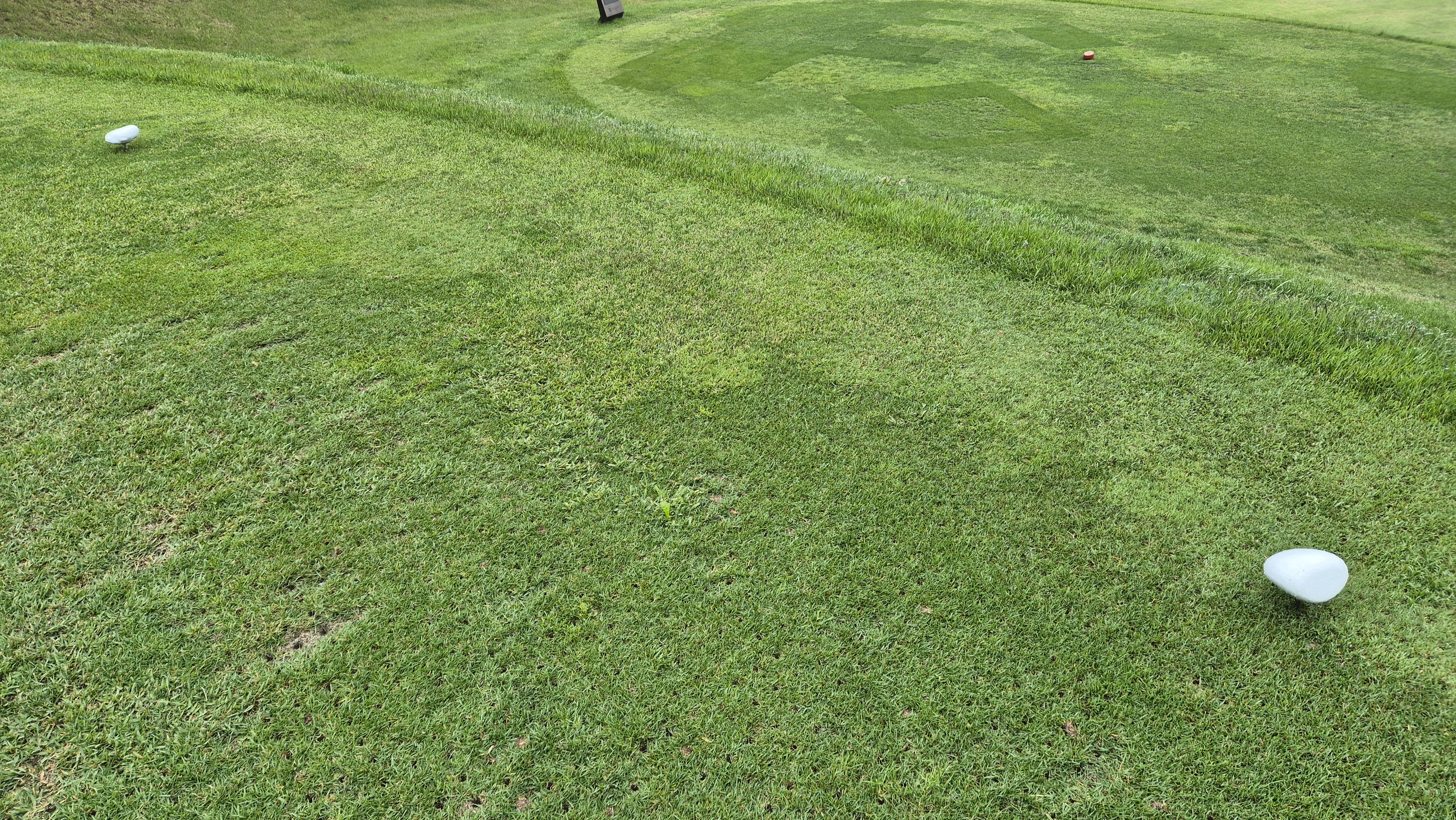 엘리시안 강촌cc 라운드 후기