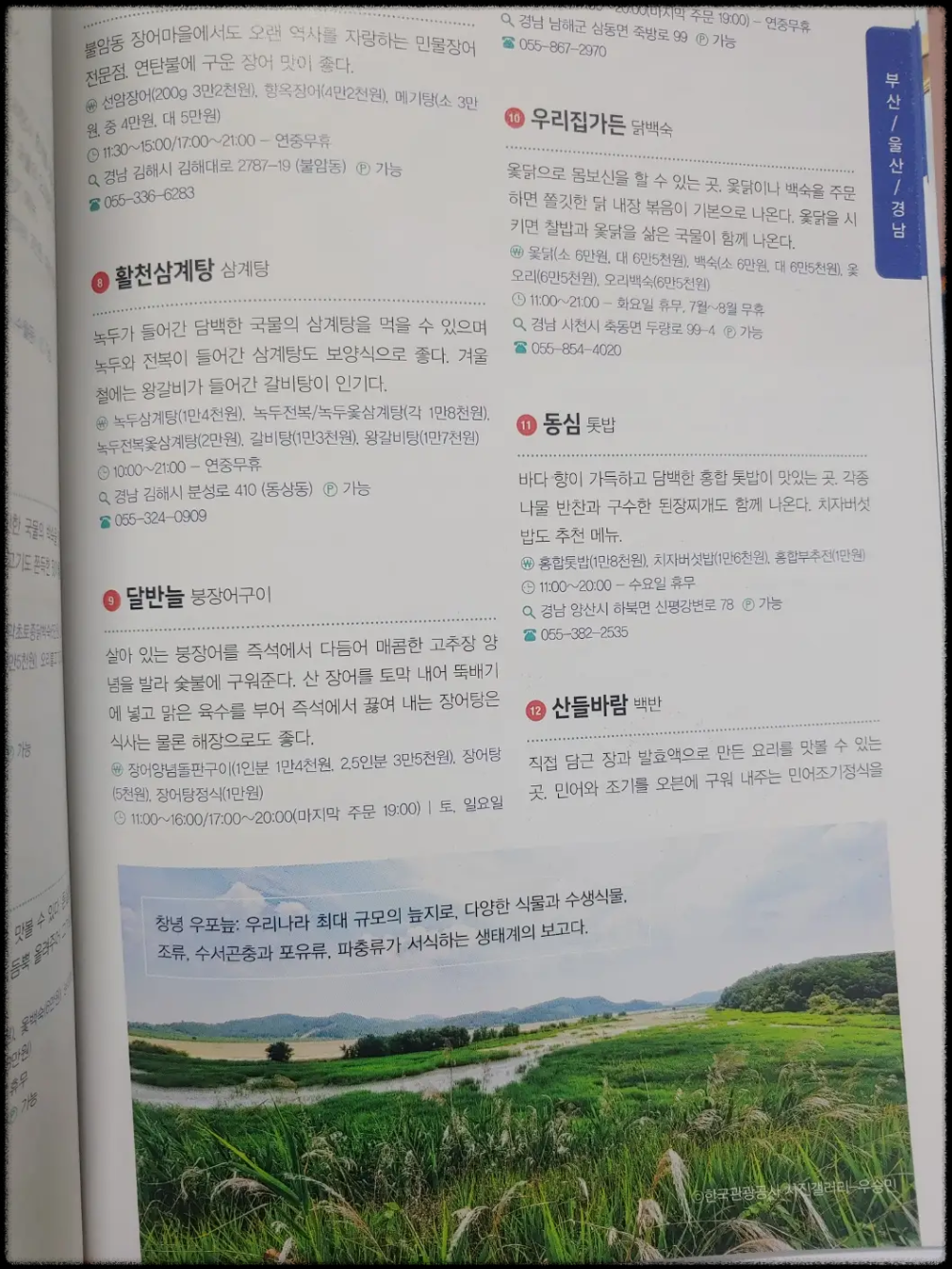 [삼성생명-&amp;-블루리본-Let&amp;#39;s-건강맛집-2023]-경남-79쪽-창년-우포늪-