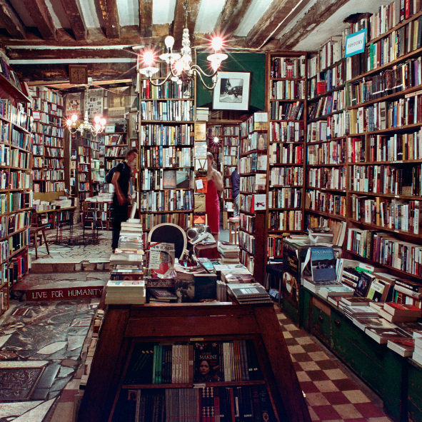 동네책방에서 시작하는 독립출판 북큐레이션에 관한 서점 이미지 사진