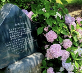 통영 이순신공원의 수국길과 바다 풍경