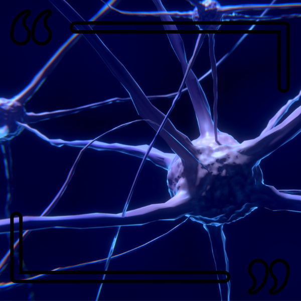 말초신경병 증상