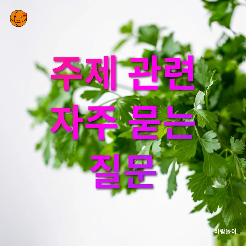 실내 허브 정원_4