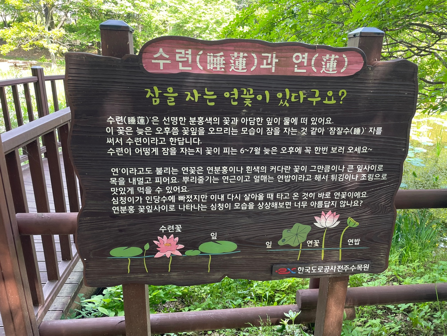 전주 여행 추천 - 전주수목원 소개