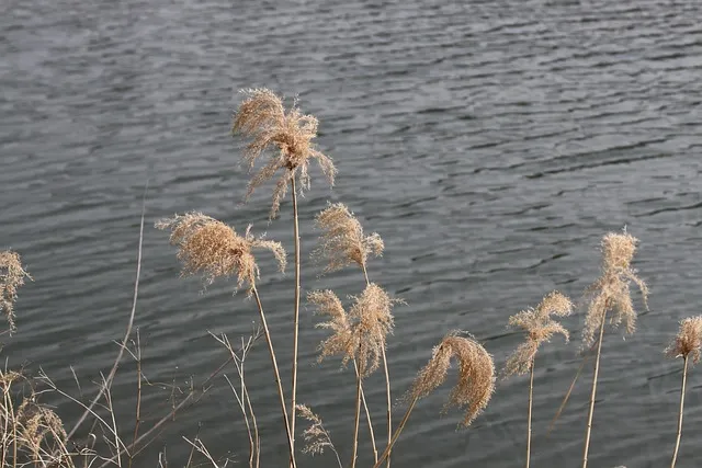 밀양 아이와 가볼만한곳 실내 박물관 액티비티 추천 TOP3_3