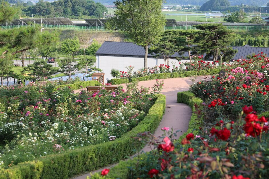 상주 가볼만한곳 베스트 10