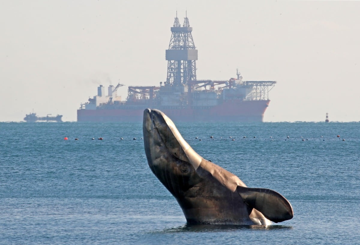 12월 9일 부산 서구 송도해수욕장 앞바다에 있는 고래 조형물 뒤로 동해심해 가스전 유망구조에 석유·가스가 묻혀 있는지를 확인할 시추선 '웨스트 카펠라'호가 입항해 있다.