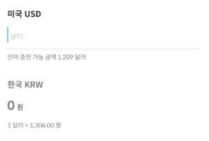 트래블월렛-달러-충전