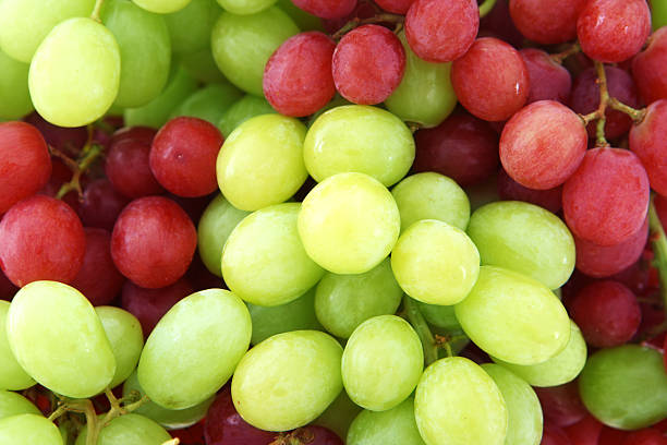 샤인머스켓을 신선하게 오래 보관하는 방법을 소개한 이미지