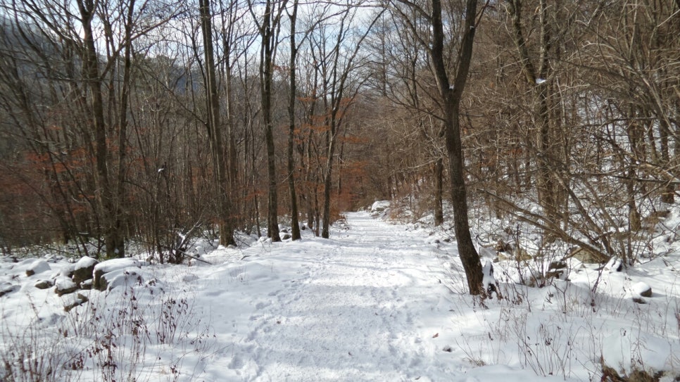 100대 명산 등산하기 여섯번째 작지만 하얗고 순수한 산 언제 올라가도 다시 가고 싶은 산 소백산