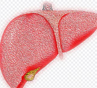 간이식 후유증 알아보기