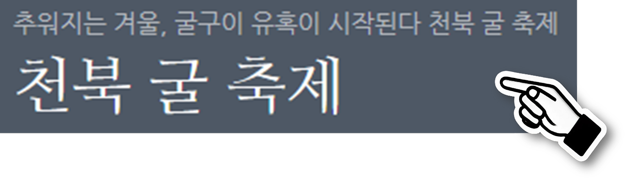 보령 천북 굴축제4