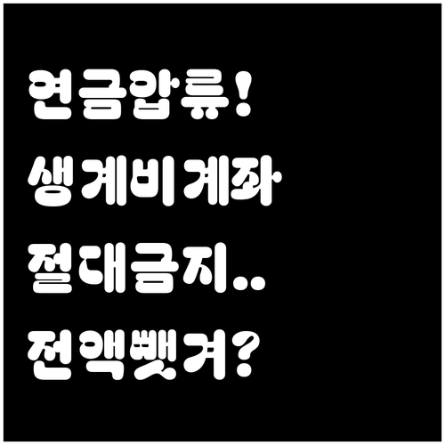 생계비 계좌로 연금 이체하면 보호받을..