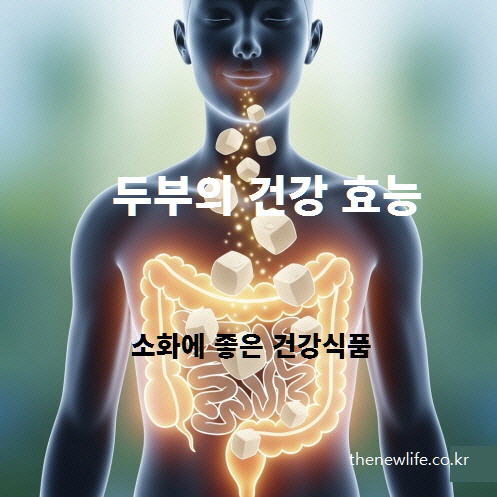 두부가 위에 부담이 적고 소화 흡수가 잘 되어 장 건강 유지와 변비 예방에 도움이 되는 이미지