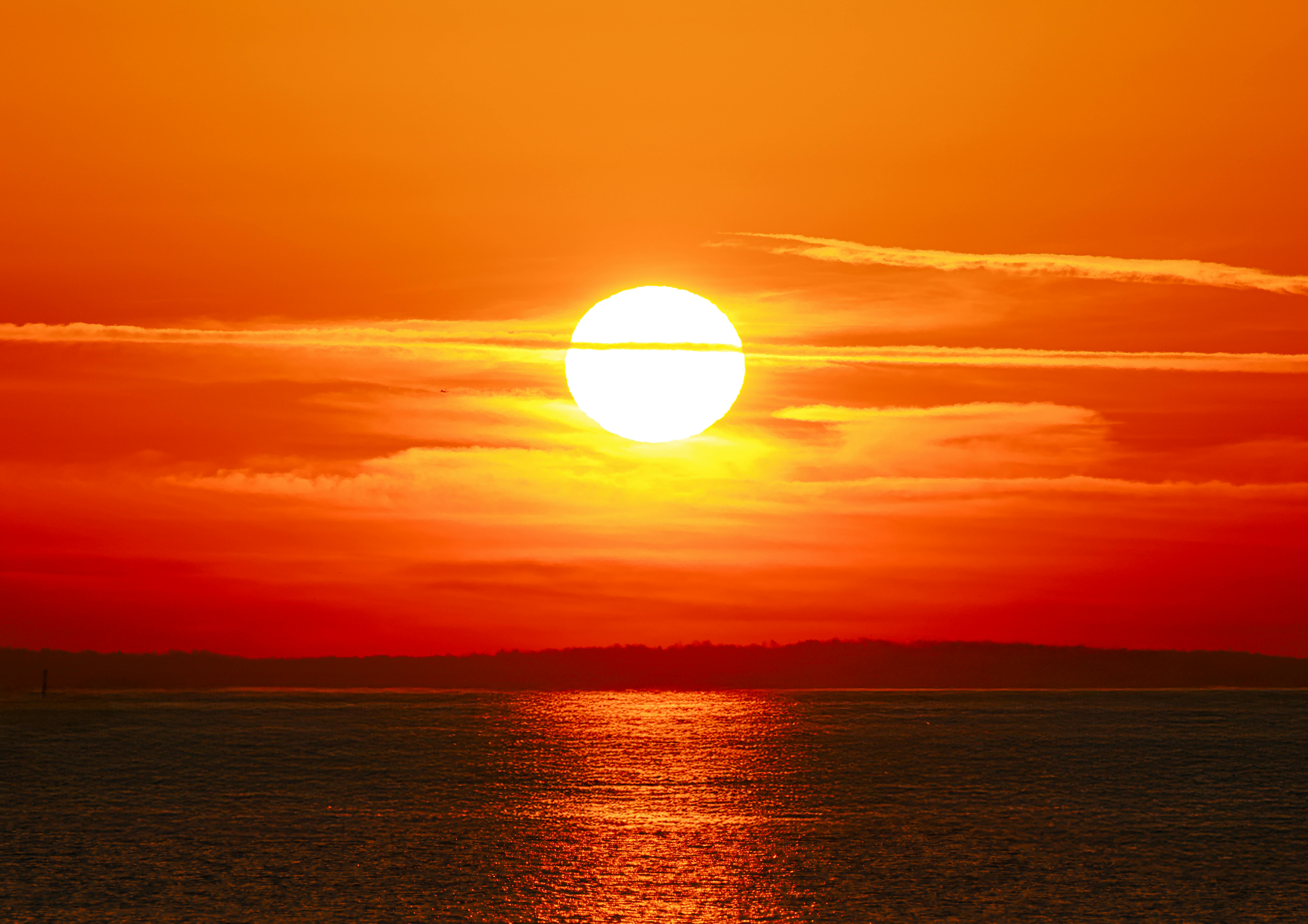 신년운세 무료보기 사이트