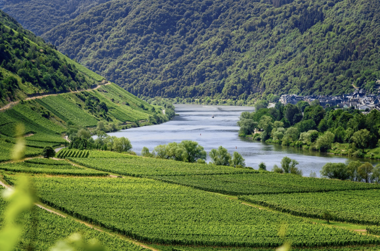 꽃 없이도 충분히 아름다운, 봄의 풍경 여행지 3선