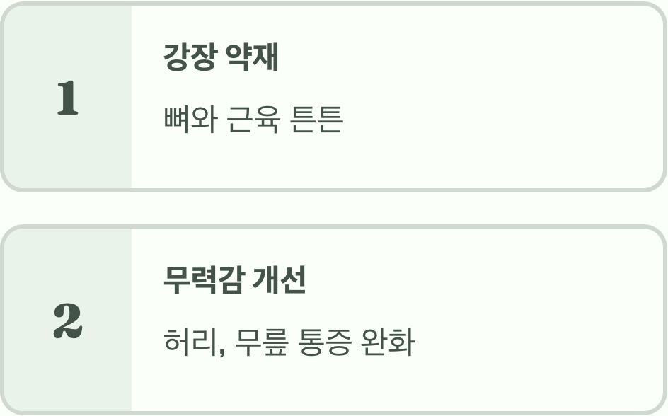 뼈와 근육을 튼튼하게, '보약'으로서의 가치