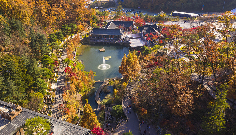 화담숲 예약 모노레일 단풍시즌