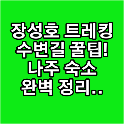 장성 가볼만한곳 장성호 수변길 트레킹..