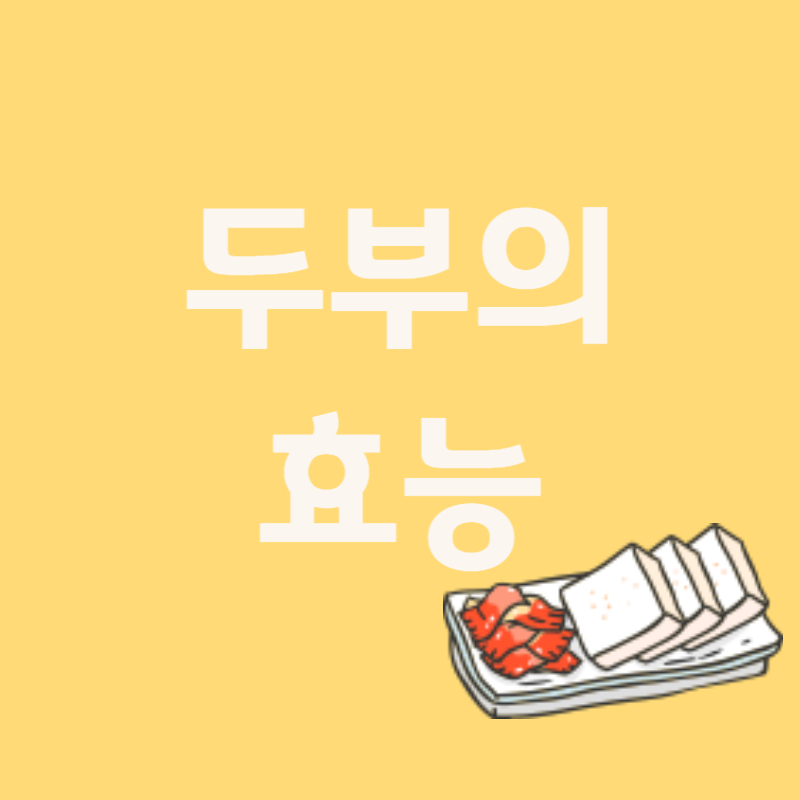 두부의 효능