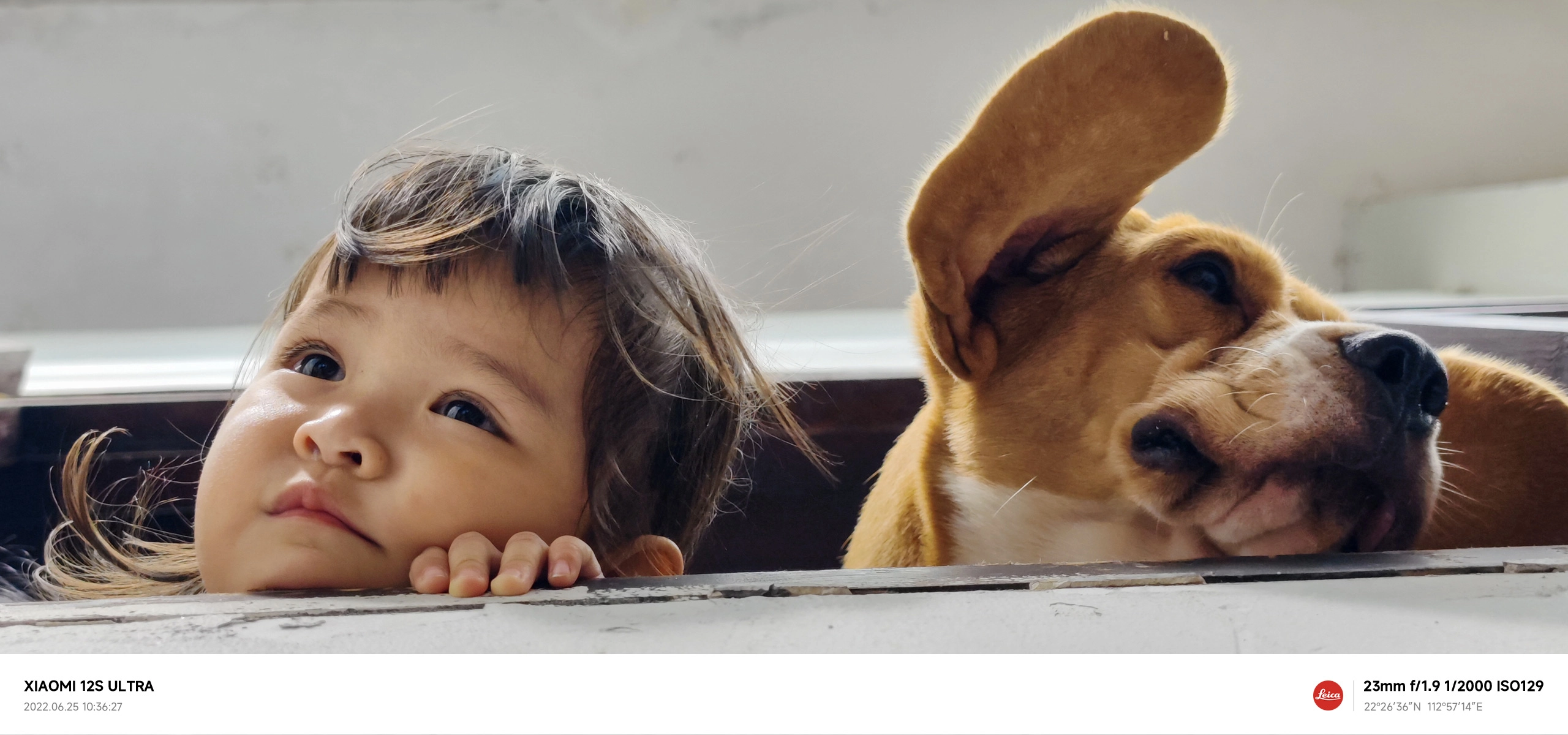 샤오미 12S 울트라