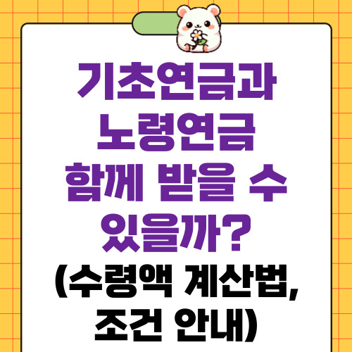 기초연금과 노령연금