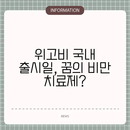 위고비 국내 출시일, 꿈의 비만 치료제?