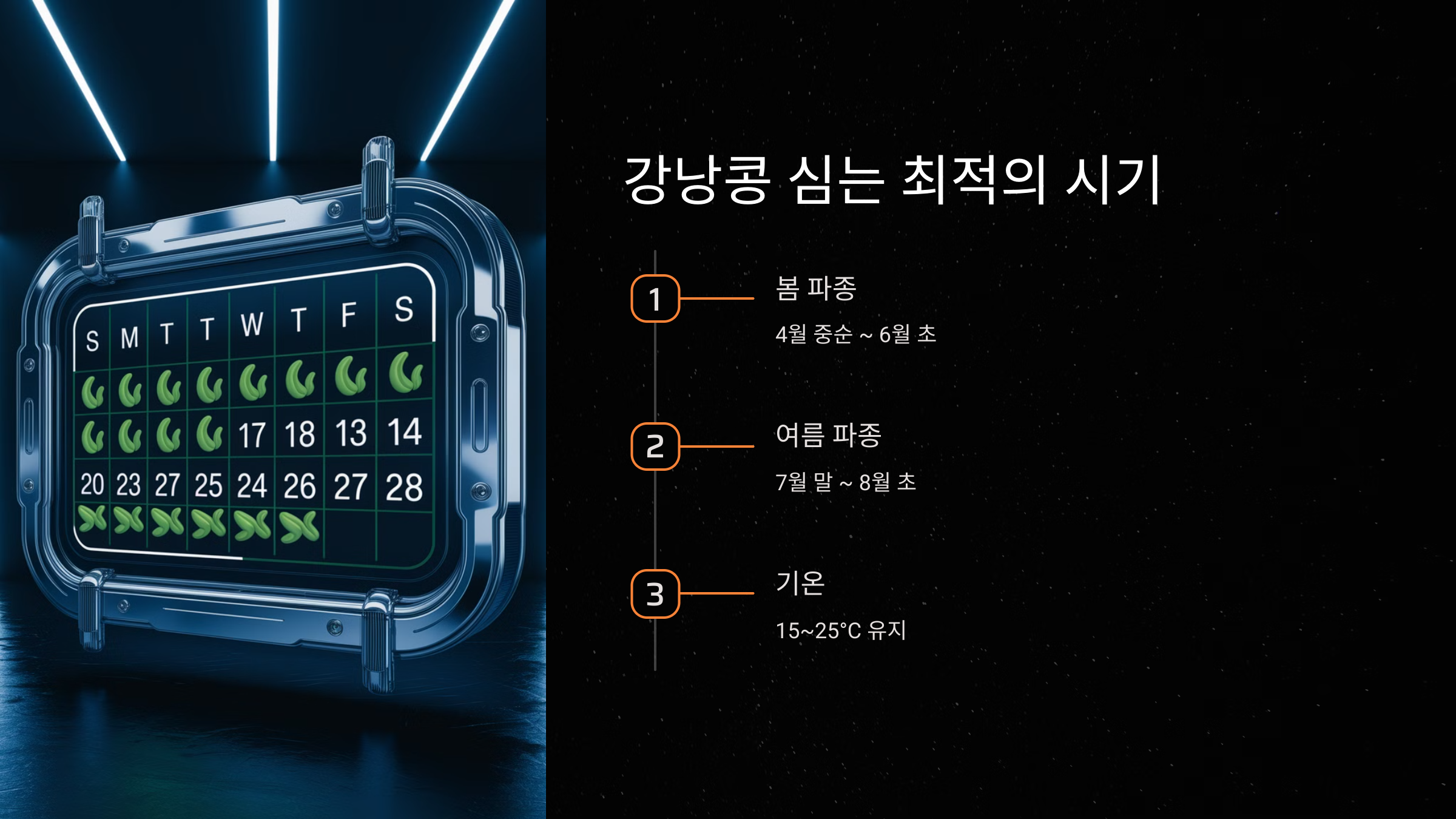 강낭콩 심는 최적의 시기