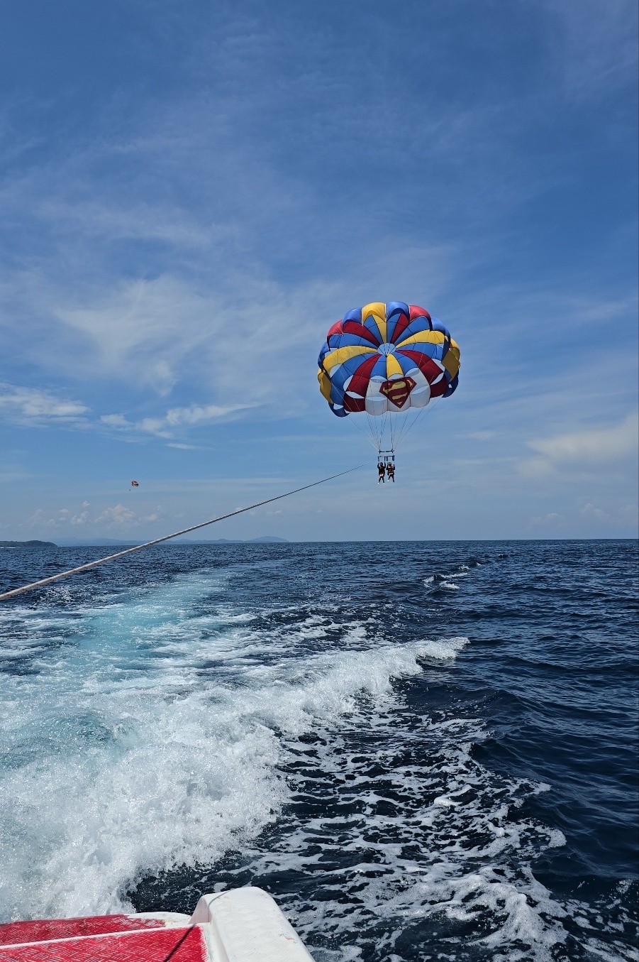 패러세일링 이미지