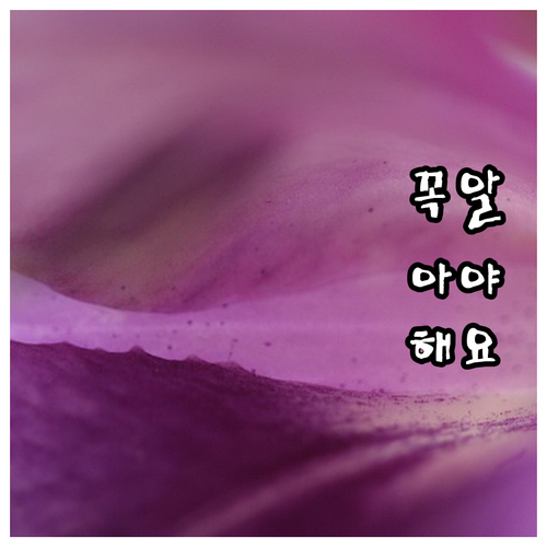 서대문 홍제동 대형폐기물, 수거 거부..