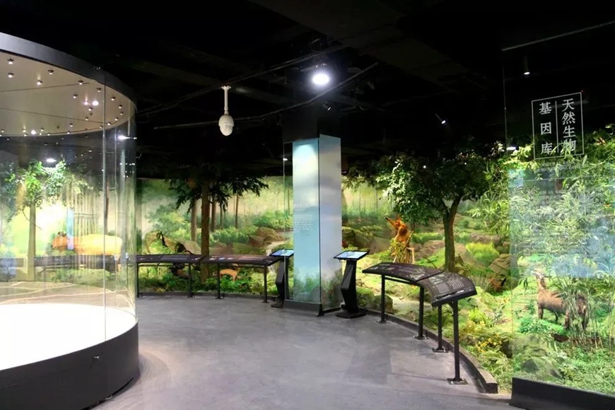 2024 가을 캠핑 준비물