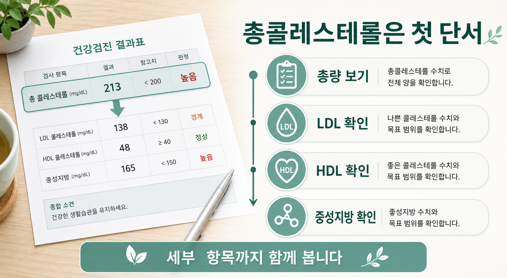 총콜레스테롤 수치를 첫 단서로 보고 LDL HDL 중성지방을 함께 확인하는 이미지
