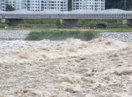 마포구 재난재해 예비비 줄여 대통령 흉상 세우나