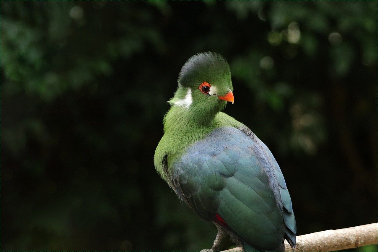 1억 은행 예금이자