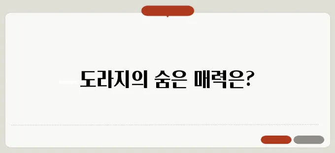 도라지 효능과 요리법 기관지 건강에 좋은 전통 식재료