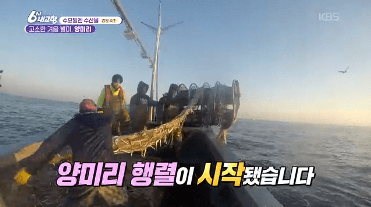 [6시내고향]강원도 속초 양미리 도루묵 오징어 &amp;#39;금성호&amp;#39; 택배 연락처 정보