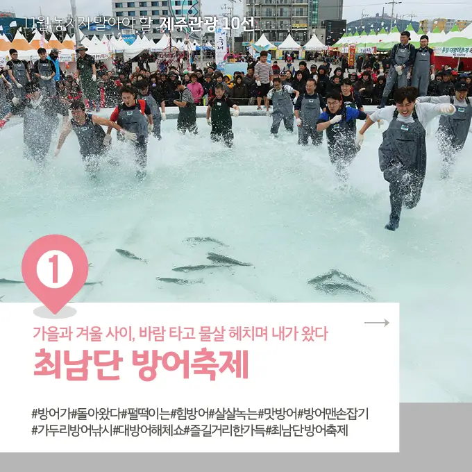 최남단-방어-축제
