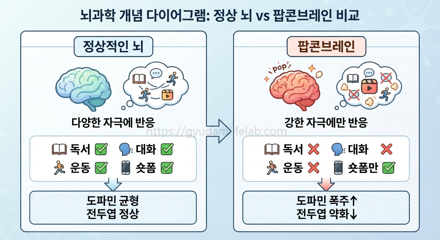 팝콘브레인 정상 뇌 비교 도파민 전두엽 다이어그램