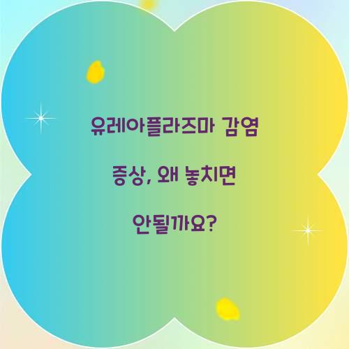 유레아플라즈마 감염 증상