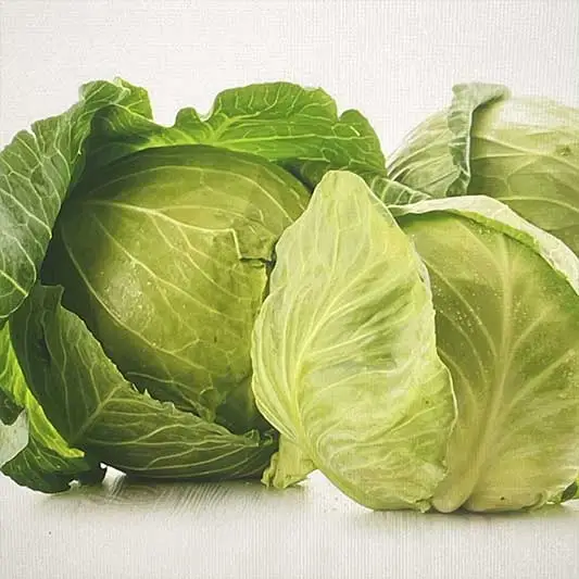 양배추 대표적인 효능