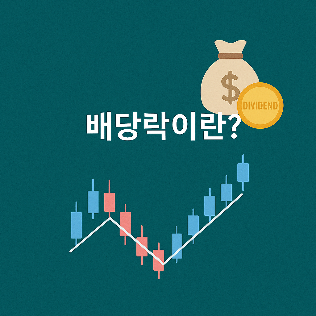 배당률 높다고 좋은 게 아니다 배당주 투자 기초 완전정복💰