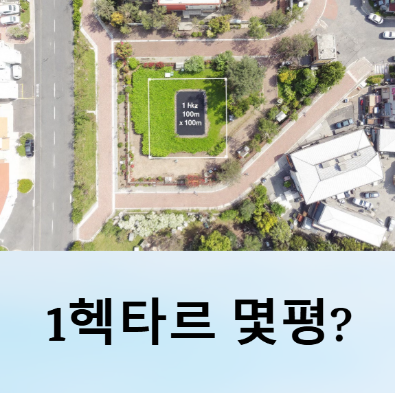 1헥타르 몇평 평수 제곱미터 환산 축구장 크기 여의도 면적 비교 총정리