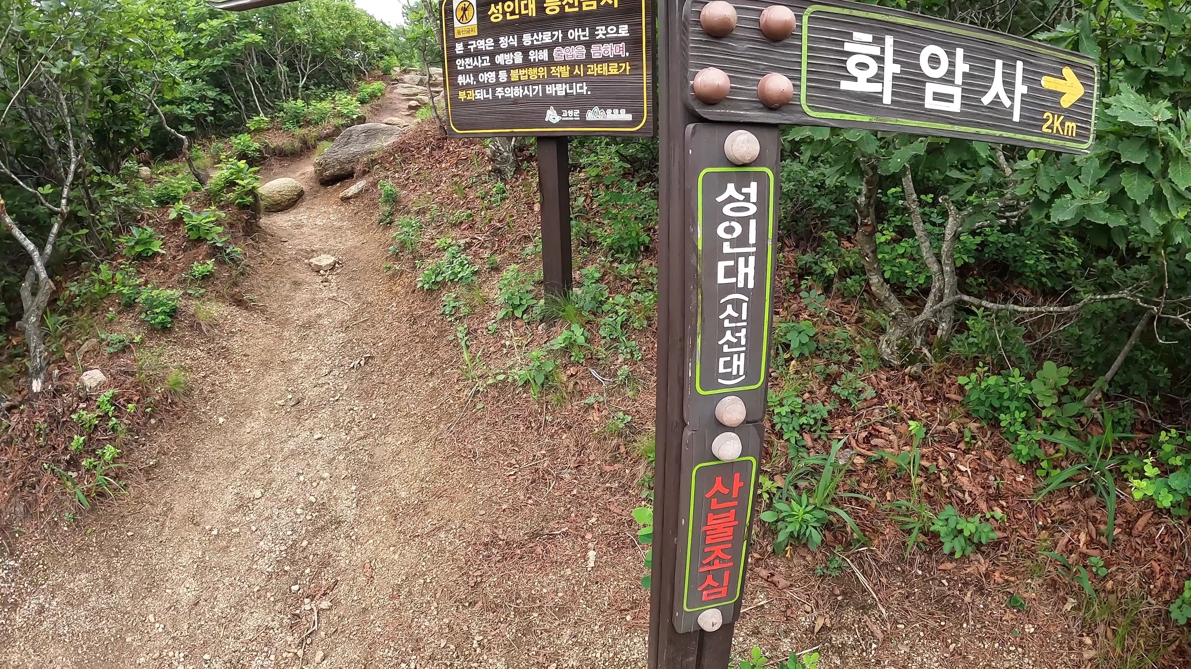 성인대